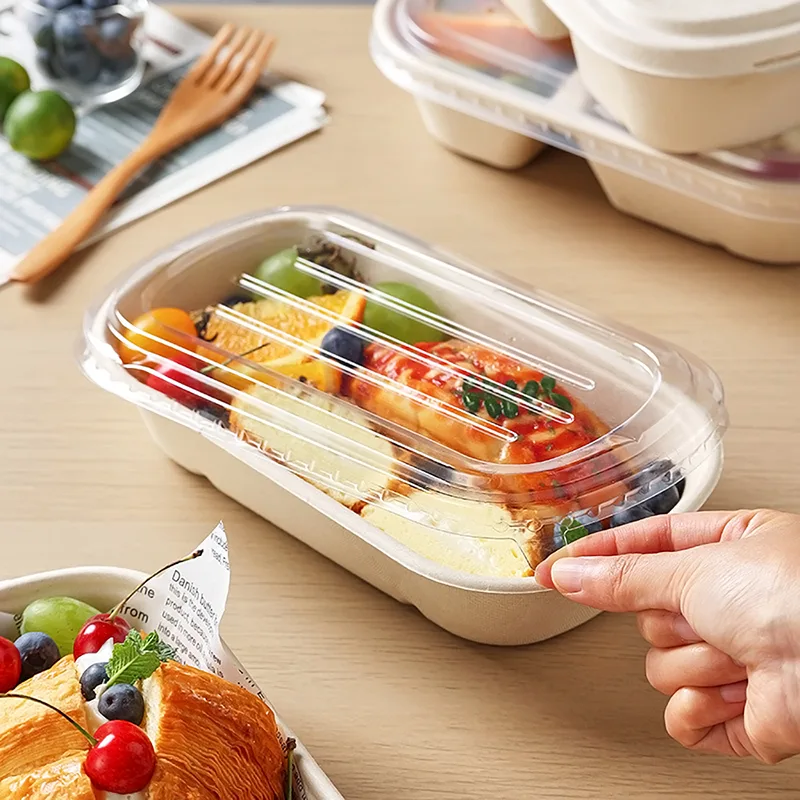 Scatola per alimenti leggeri biodegradabili da canna da zucchero da 1000 ml